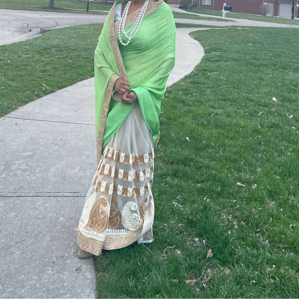 Intricate Green and Gold Embellished Saree. Color is true to the first picture